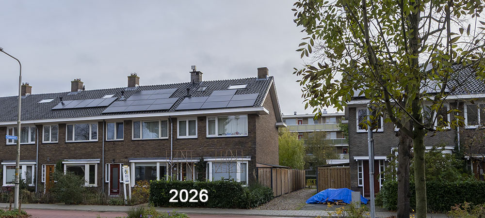 zeldenwel 2026 header
